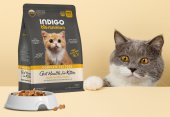 2公斤 Indigo 天然有機幼貓及益生菌腸道幼貓糧 (內有獨立包裝 200克x10包) 韓國製造