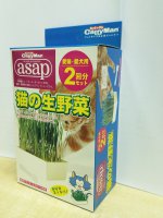 Cattyman 特快生長貓草(內有膠鏟子, 2份獨立包裝種籽, 培養土), 日本製造