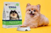 2公斤 Indigo 天然有機關節及益生菌腸道全犬糧 (內有獨立包裝 200克x10包) 韓國製造