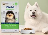 6公斤 Indigo 天然有機關節及益生菌腸道全犬糧 (內有獨立包裝 400克x15包) 韓國製造