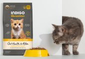 6公斤 Indigo 天然有機幼貓及益生菌腸道幼貓糧 (內有獨立包裝 400克x15包) 韓國製造