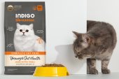 6公斤 Indigo 天然有機泌尿及益生菌腸道全貓糧 (內有獨立包裝 400克x15包) 韓國製造