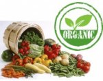 有機狗糧 Organic