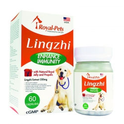 60粒膠囊 Royal-Pets Lingzhi Enhance Immunity 純正靈芝, 狗食用, 美國製造  (到期日: 4-2024)   特價發售, 所有優惠不適用
