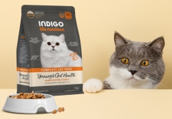 2公斤 Indigo 天然有機泌尿及益生菌腸道全貓糧 (內有獨立包裝 200克x10包) 韓國製造