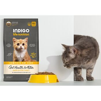 6公斤 Indigo 天然有機幼貓及益生菌腸道幼貓糧 (內有獨立包裝 400克x15包)  韓國製造