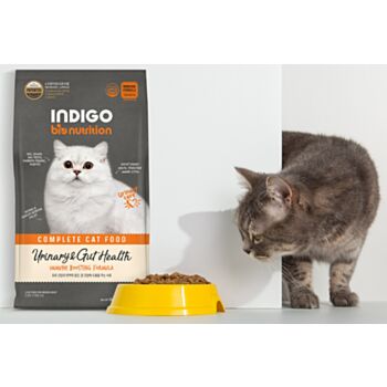 6公斤 Indigo 天然有機泌尿及益生菌腸道全貓糧 (內有獨立包裝 400克x15包)  韓國製造