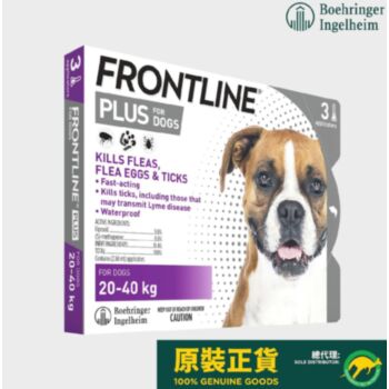 3支裝 Frontline Plus Spot On 狗用殺蚤除牛蜱滴頸藥水, 體重45-88磅適用, 法國製造  (到期日: 10-2027)